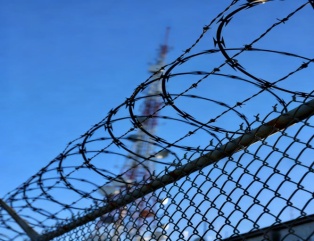 가시 철사
